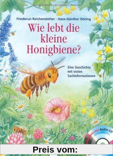 Wie lebt die kleine Honigbiene?: Eine Geschichte mit vielen Sachinformationen